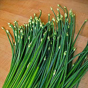 CHIVES 2 (2).jpg