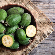 63_Kiwis love feijoas - Twisted Citrus.j