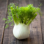 FENNEL (2).jpg