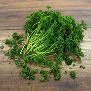 PARSLEY CURLY.jpg
