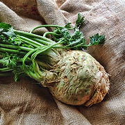 CELERIAC (2).jpg