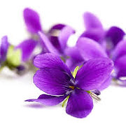 VIOLET FLOWERS EDIBLE GARNISH.jpg