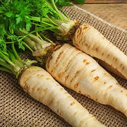 PARSNIP (2).jpg