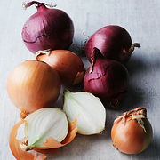 ONIONS (2).jpg