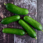 CUCUMBER 2 (2).jpg