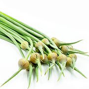 GARLIC SHOOTS.png