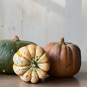 SQUASHES (2).jpg