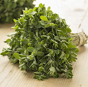 MARJORAM (2).jpeg