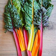 CHARD RAINBOW.jpeg