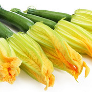 ZUCCHINI FLOWERS.jpg