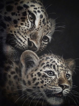 leopards IMG_20190523_114205.jpeg