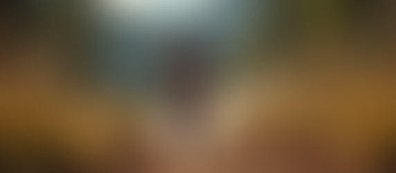 Master the Basics of Dirt Bike Training