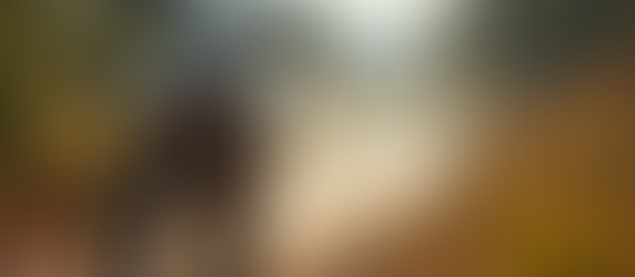 Discover the Best Dirt Bike Rentals in Riverside, CA