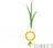 Onions DIrect - for dark background.png