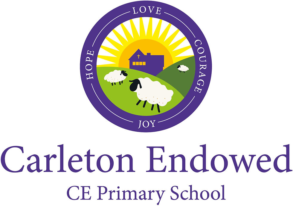 CARLETON LOGO Final2_edited.jpg