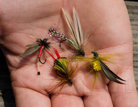 a hand with fishing flies in it