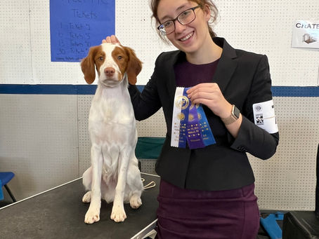Winnegamie Dog Club Show