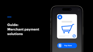 Merchant payment solutions