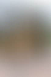 Dyniowy świat w oranżerii 