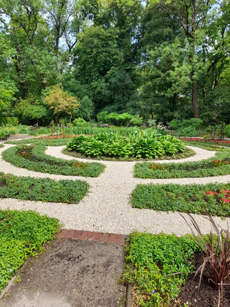 Wizyta w Ogrodzie Botanicznym UW w Warszawie