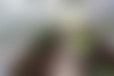 Szkolna szklarnia rozpoczęła nowy sezon pełną parą