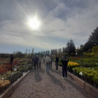 W szkółce roślin, czyli zajęcia praktyczne w 5HTR