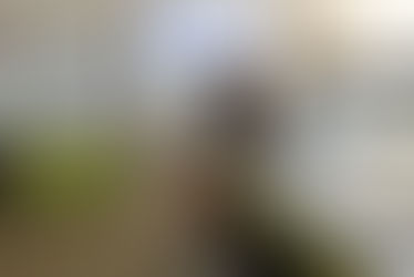 Zajęcia praktyczne z rozrodu i inseminacji zwierząt