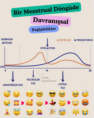 Bir Menstrual Döngüde Davranışsal Değişiklikler