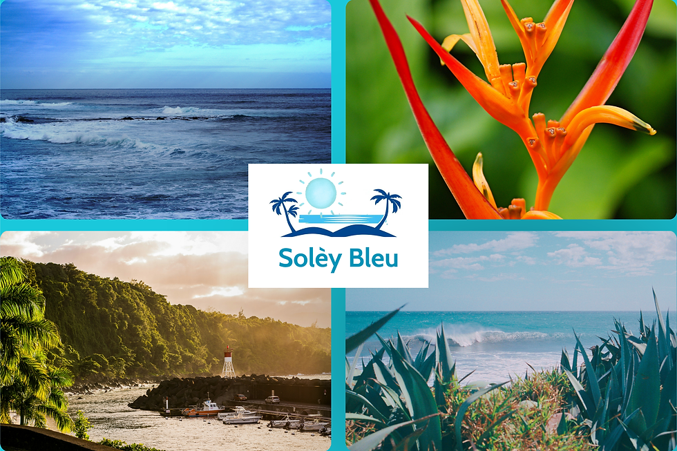 Copie de carte postale soley bleu (3).png