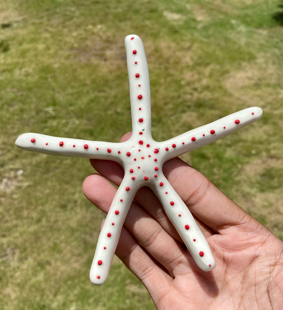 Thumbnail: Hanging Starfish