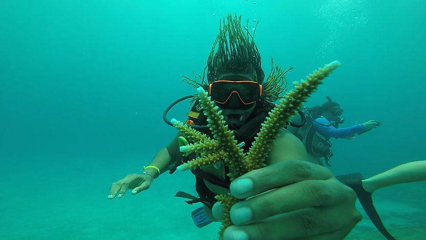 GPTempDownload 2.jpg