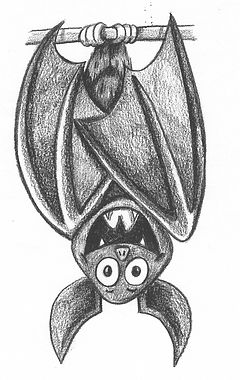 Batz Upside Down.jpeg