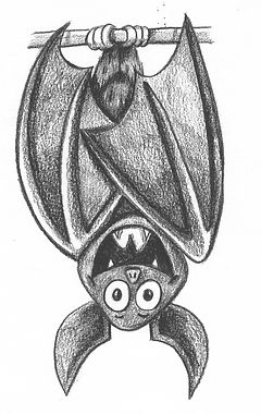 Batz Upside Down.jpeg