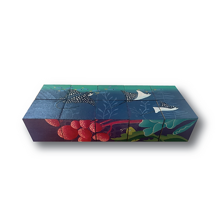 CUBO.png