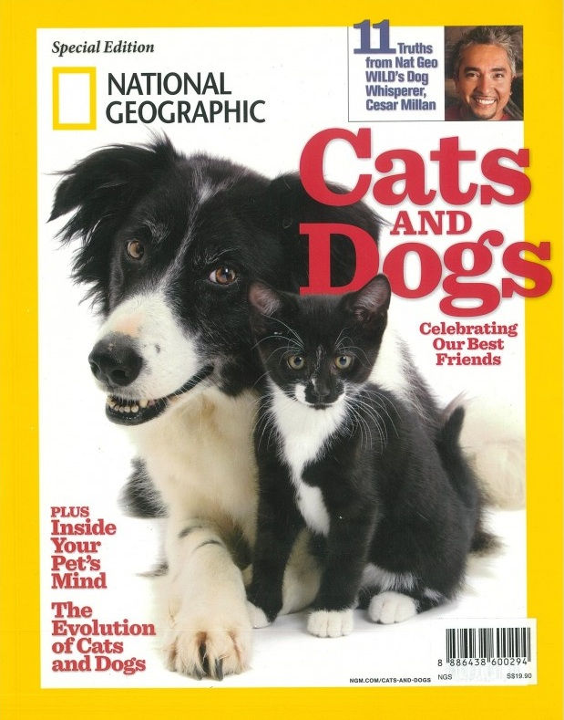 Thumbnail: The Pet Bundle - Dog Edition