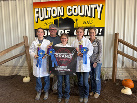 Preparing Your Horse for County Fair Season: A Health & Safety Checklist