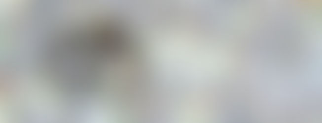 How to Sue a Jail or Prison for Injury or Death in Custody