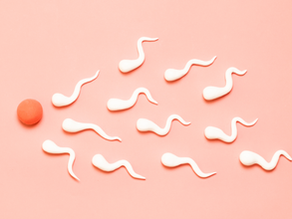 The Best Foods To Improve Sperm Health