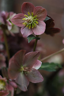 CP7A0408.JPG