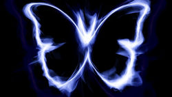 The Butterfly Effect.