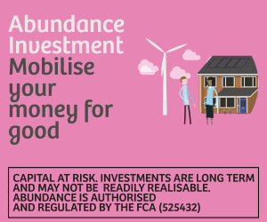RISK_01_00_HOME_PAGE_ABUN_BANNER_300x250.gif