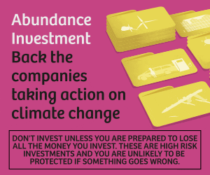 RISK_2_01_COMPANIES_ABUN_BANNER_300x250.gif