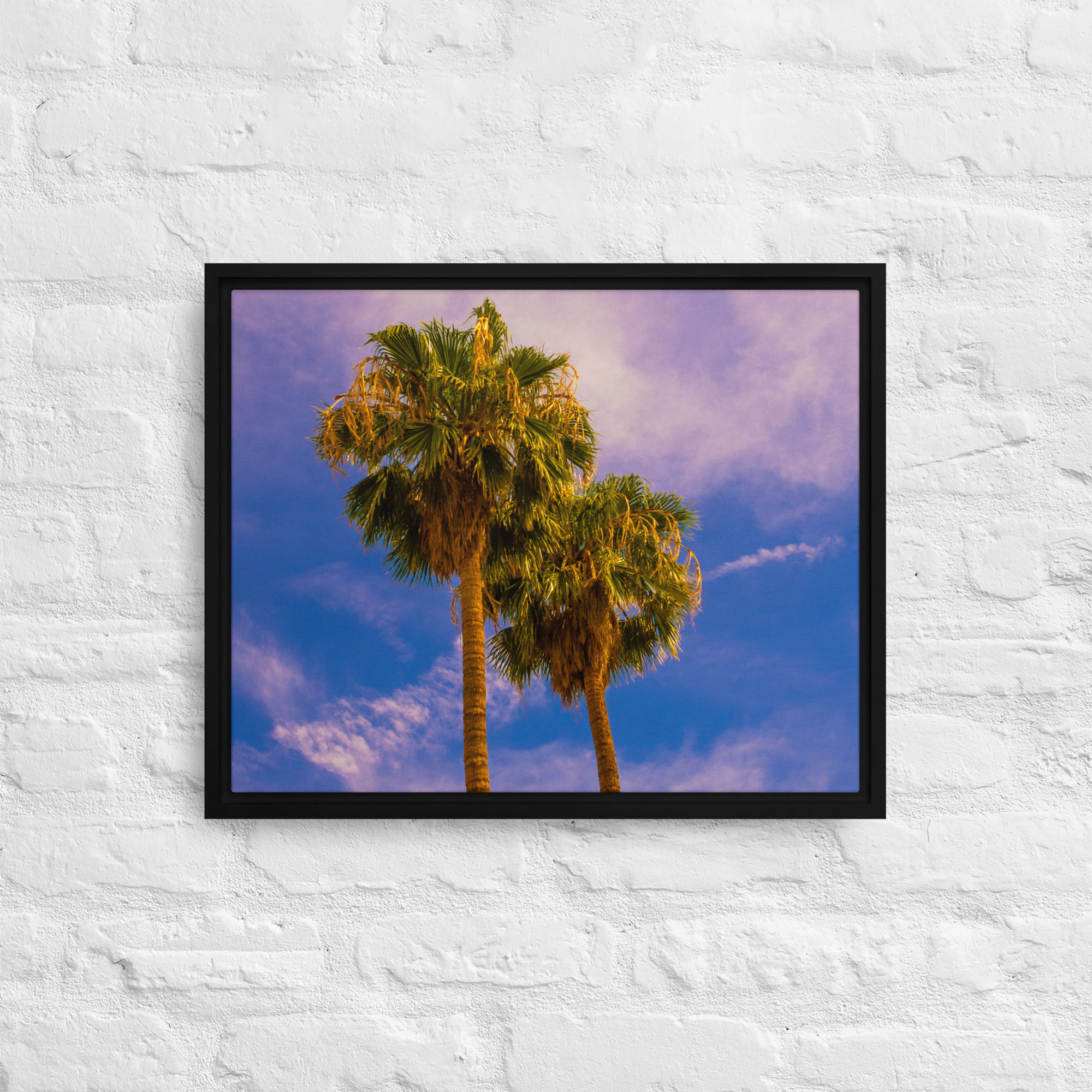 Framed canvas