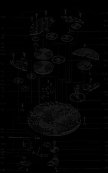watch diagram black.jpg