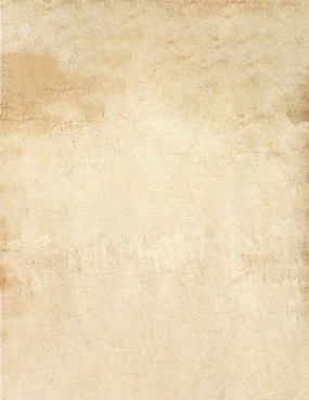 448340962_1129569451655666_2039110142249367872_n.png