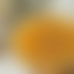 Gut-Healing Bone Broth Recipe