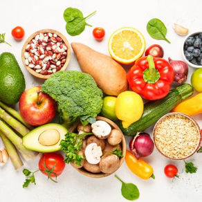 Food Foundations