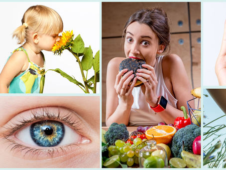 Our Brain and how it develops