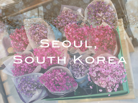 Seoul, South Korea