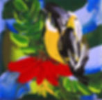 endemic birds of puerto rico, fauna, nature, abstract